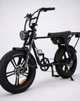 Fatfish Biggie EN15194 Certified Fat Tyre E-Bike
