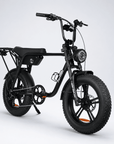 Fatfish Biggie EN15194 Certified Fat Tyre E-Bike