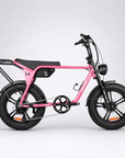 Fatfish Biggie Fat Tyre E-Bike