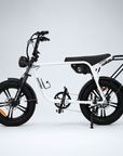 Fatfish Biggie EN15194 Certified Fat Tyre E-Bike