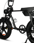 Fatfish Biggie Fat Tyre E-Bike