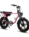Fatfish Biggie Fat Tyre E-Bike
