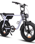Fatfish Biggie Fat Tyre E-Bike