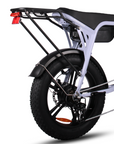 Fatfish Biggie Fat Tyre E-Bike