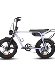Fatfish Biggie Fat Tyre E-Bike