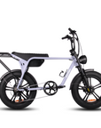 Fatfish Biggie Fat Tyre E-Bike