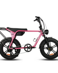 Fatfish Biggie Fat Tyre E-Bike