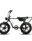 Fatfish Biggie Fat Tyre E-Bike