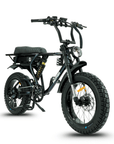 Fatfish DS Fat Tyre E-Bike