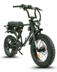 Fatfish DS Fat Tyre E-Bike