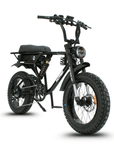 Fatfish DS Fat Tyre E-Bike