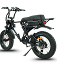 Fatfish DS Fat Tyre E-Bike