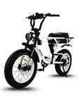 Fatfish DS Fat Tyre E-Bike