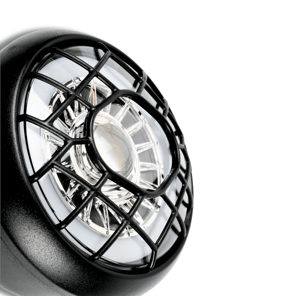 Fatfish OG Front Light