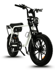 Fatfish OG Fat Tyre E-Bike