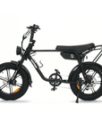 Fatfish OG Fat Tyre E-Bike