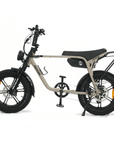 Fatfish OG Fat Tyre E-Bike