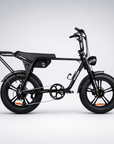 Fatfish Biggie EN15194 Certified Fat Tyre E-Bike