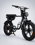 Fatfish OG 2.0 Fat Tyre E-Bike