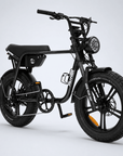 Fatfish OG 2.0 Fat Tyre E-Bike