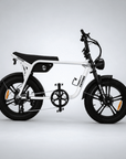 Fatfish OG 2.0 EN15194 Certified Fat Tyre E-Bike