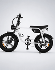 Fatfish OG 2.0 Fat Tyre E-Bike