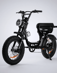 Fatfish Vice Fat Tyre E-Bike