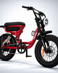 Fatfish Vice EN15194 Certified Limited Edition Fat Tyre E-Bike