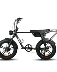 Fatfish Biggie EN15194 Certified Fat Tyre E-Bike