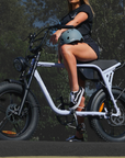 Fatfish Biggie Fat Tyre E-Bike