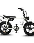 Fatfish Biggie Fat Tyre E-Bike