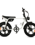 Fatfish OG 2.0 Fat Tyre E-Bike