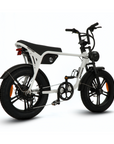 Fatfish OG 2.0 Fat Tyre E-Bike