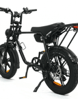 Fatfish OG Fat Tyre E-Bike