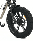 Fatfish OG Fat Tyre E-Bike