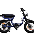 Limited Edition Fatfish Vice Fat Tyre E-Bike