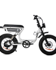 Fatfish Vice Fat Tyre E-Bike