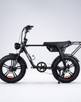 Fatfish Biggie EN15194 Certified Fat Tyre E-Bike