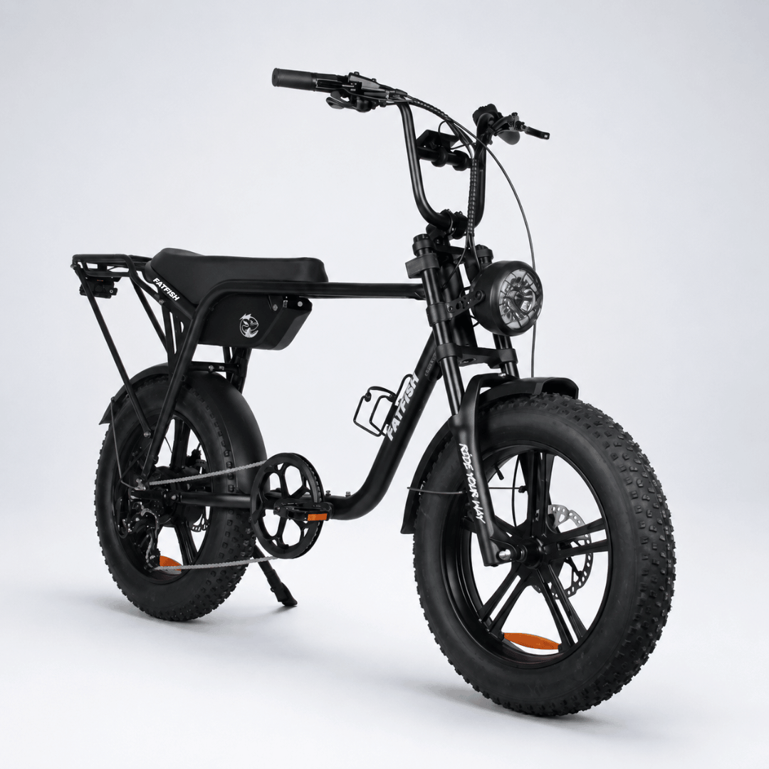 Fatfish Biggie Fat Tyre E-Bike