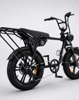 Fatfish Biggie EN15194 Certified Fat Tyre E-Bike