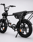 Fatfish Biggie EN15194 Certified Fat Tyre E-Bike