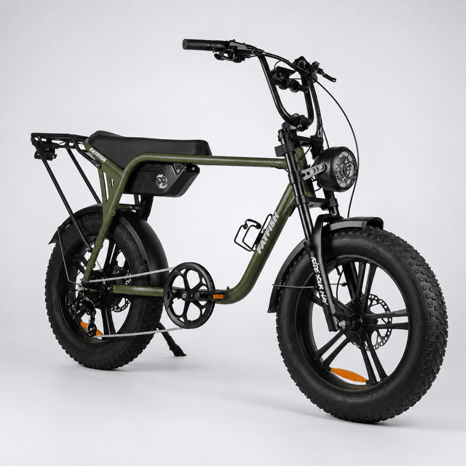 Fatfish Biggie EN15194 Certified Fat Tyre E-Bike – Fatfish E-Bikes