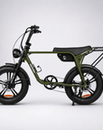 Fatfish Biggie EN15194 Certified Fat Tyre E-Bike
