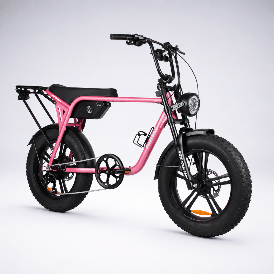 Fatfish Biggie Fat Tyre E-Bike