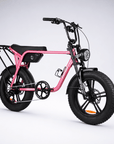 Fatfish Biggie Fat Tyre E-Bike