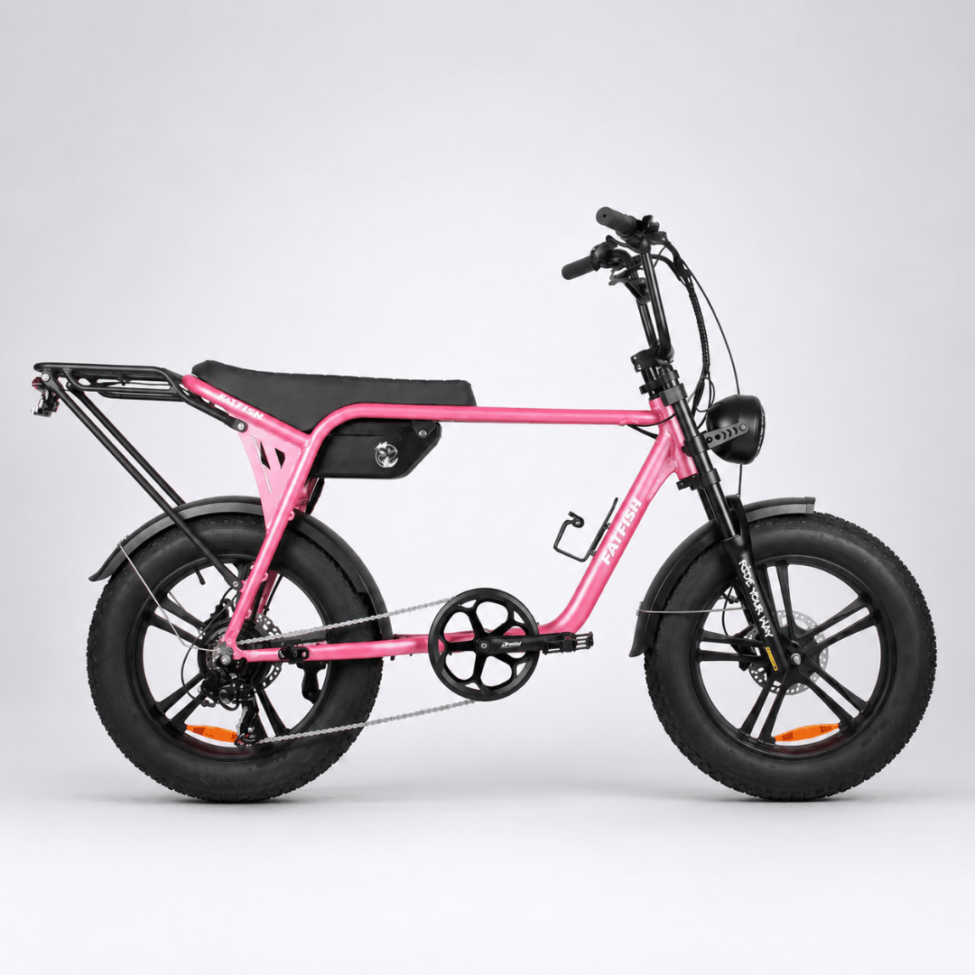 Fatfish Biggie Fat Tyre E-Bike