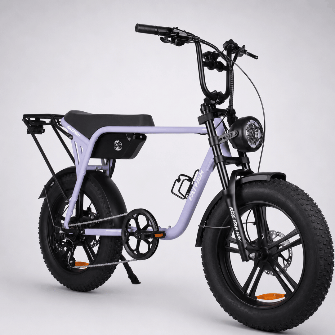 Fatfish Biggie EN15194 Certified Fat Tyre E-Bike