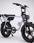 Fatfish Biggie EN15194 Certified Fat Tyre E-Bike