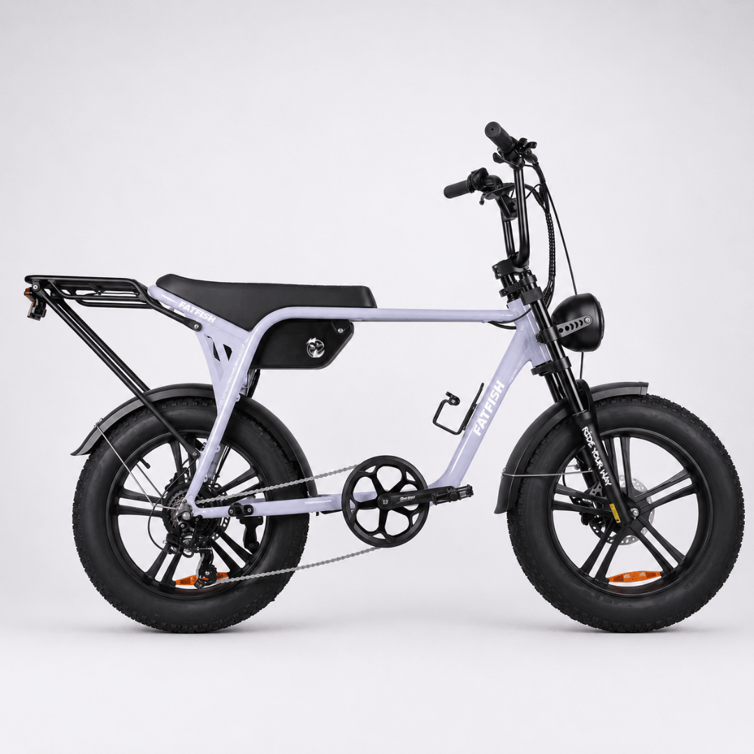 Fatfish Biggie EN15194 Certified Fat Tyre E-Bike