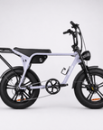 Fatfish Biggie EN15194 Certified Fat Tyre E-Bike